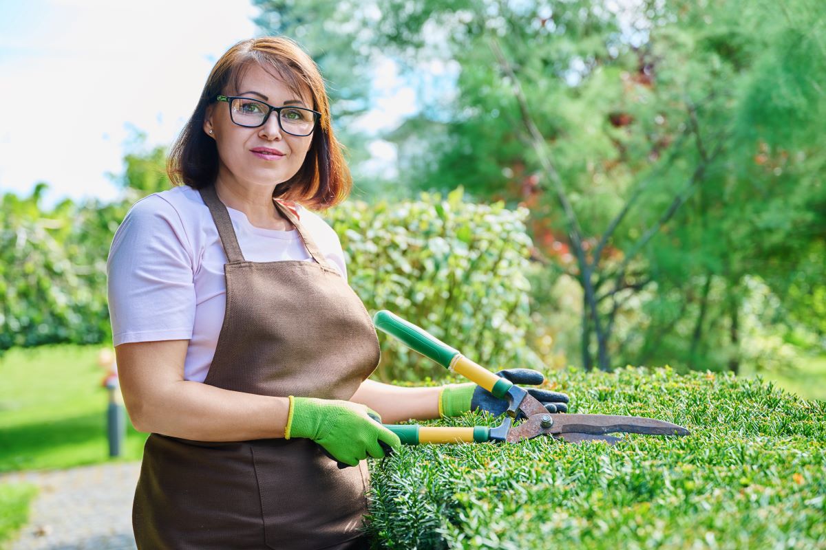 Gartenpflege durchs Jahr: Der perfekte Saisonplan