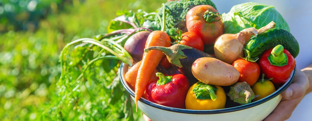 Saisonkalender: Obst & Gemüse Saison in Deutschland