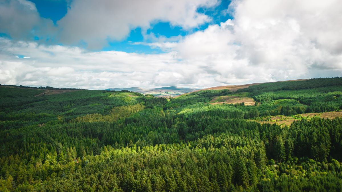 Natur entdecken: Schätze vor der Haustür