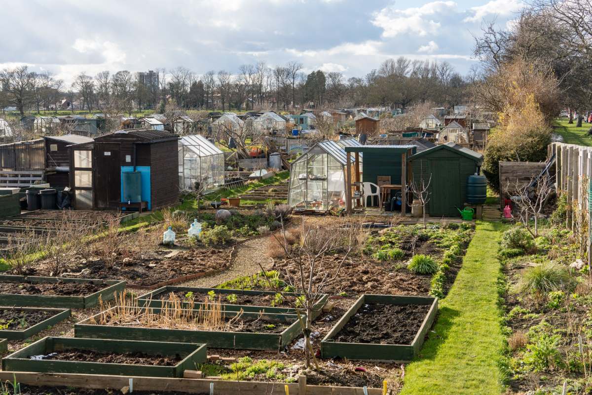 Schrebergarten in Biberach: Pacht, Regeln und was Sie wissen
